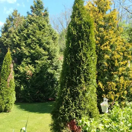 Apartament Harmony Vendeghaz *