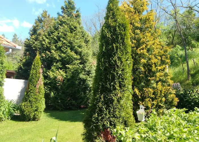 Apartament Harmony Vendeghaz *